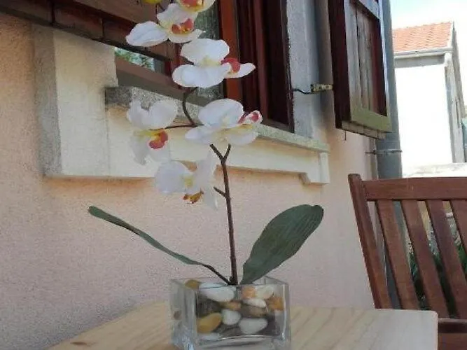 Apartments Smilje I Maslina - One Bedroom Apartment With Terrace 2 غورني كارين